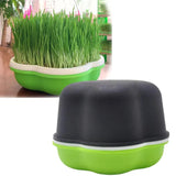 Plateau de Culture Hydroponique Maison Innovant