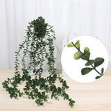 Plante Artificielle Tombante Haut de Gamme