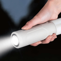 Lanterne LED de Camping Pliable Ultra-Compacte